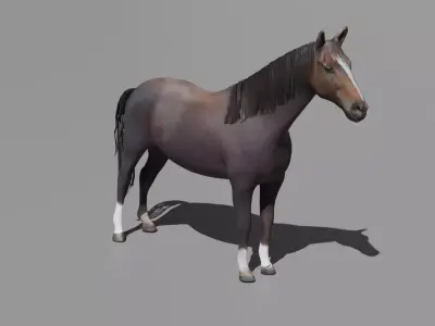 Realistic 3D Horse Model Low-poly 3D model