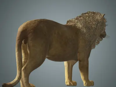 lion with animation Low-poly 3D model