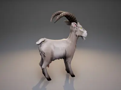 Stylized Goat Low-poly 3D model