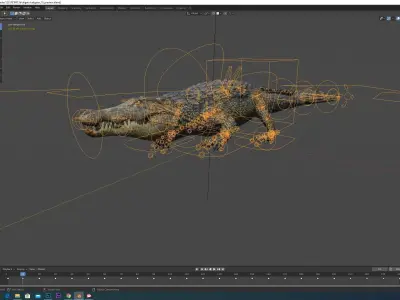 Aligator real measure 3D model