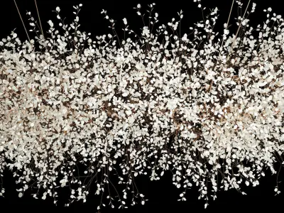 Hanging Installation Bouquet Dried Flowers Lunaria branches 568 3D model