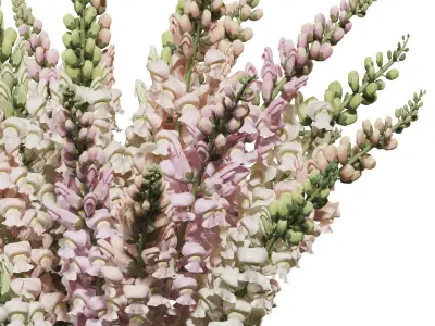 Flower In Vase   28 3D model