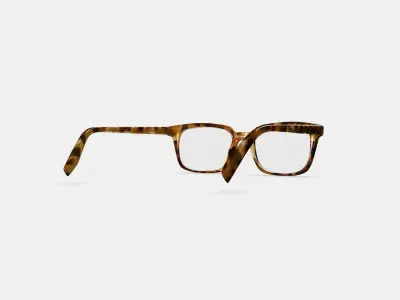 Mullins Eyeglasses in Acorn Tortoise 3D model