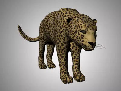 Leopard Low-poly 3D model