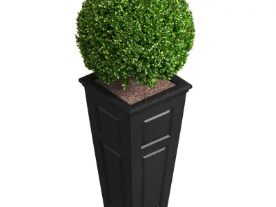 Contemporary Art Deco Boxwood in Pot Front Patio Porch Balcony 3D model