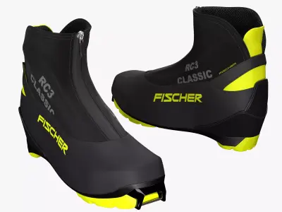 Running Ski 3D model