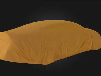 Hidden Elegance  Subtle Beauty Beneath the Surface 3D model