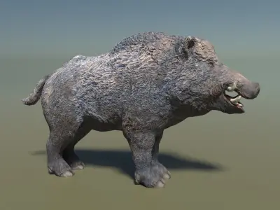Wild Boar Low-poly Low-poly 3D model