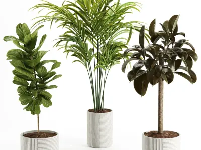 Indoor Plant-Set003 3D model