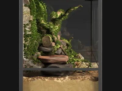 Terrarium Agama 3D model