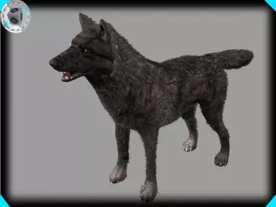 black wolf animal 3D model