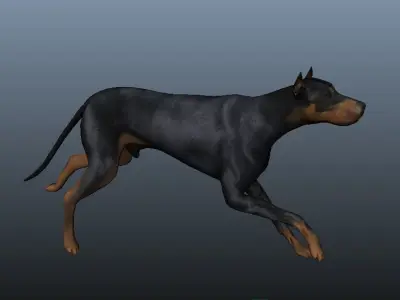 Dog 3D model rig Low-poly 3D model