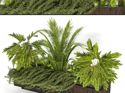 Collaction Indoor plant vol 41 3D model