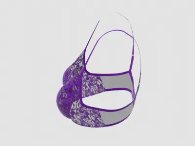 Wired Lace Bra 3D model