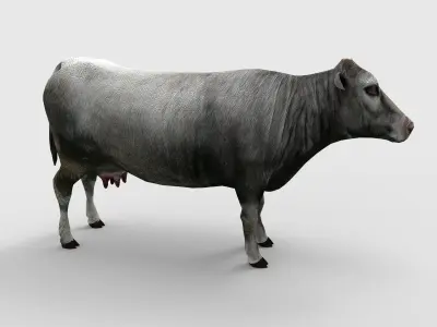3D Cow Rigged cattle game ready Low-poly 3D model