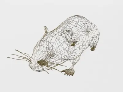 Syrian Hamster Low-poly 3D model