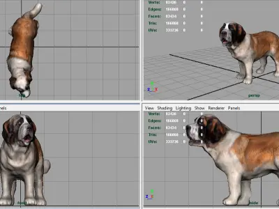 SAINT BERNARD 3D model