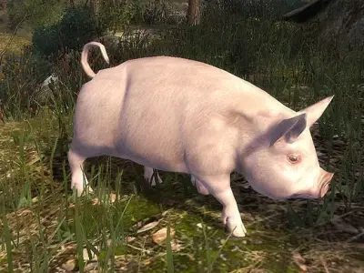 3DRT - Pig  Low-poly 3D model
