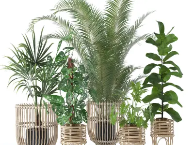 20 Photorealistic Flowers for Interiors - set 118 126 129 136 3D Model Collection