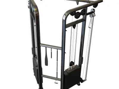 Lifefitness Signature Series Dual Adjustable Pulley 3D model