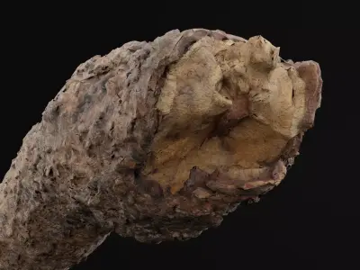 Pine Wood Debris Low-poly 3D model