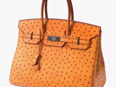Hermes Birkin Bag Ostrich 3D model