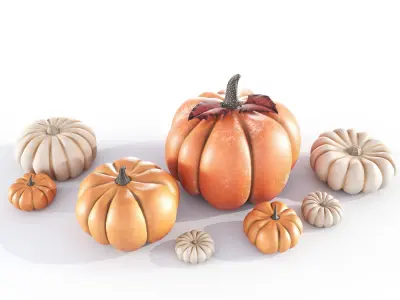 Pumpkins 3D model