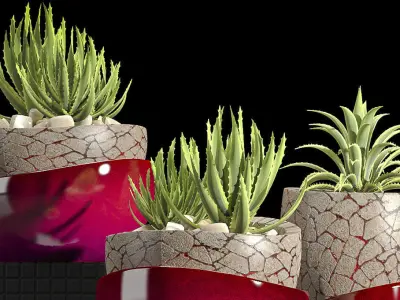 PLANTS SET vases with succulents 3D model
