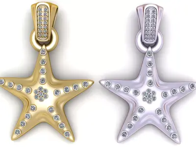 Luxury Star Jewelry   3D printable model   3D print model
