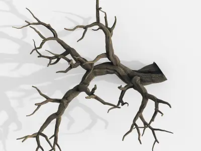 Aquarium Snag V22 3D model