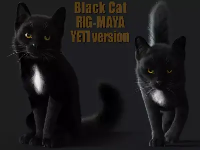Cat Black RIG YETI version 3D model