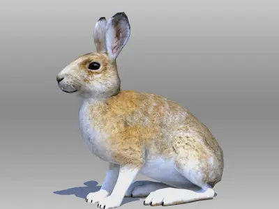 Rabbit or Hair Low-poly 3D model