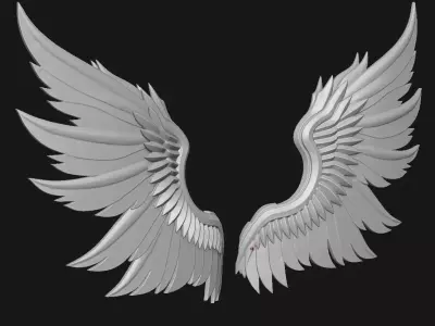 Wings 3D print model