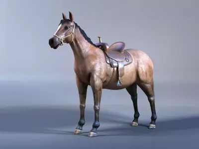 Horse with Saddle 3D Model with Mental Ray Materials 3D model