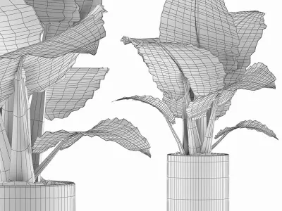 Plants Collection 82 3D model