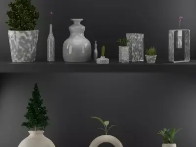 Decoration different vases and plants on shelf 3D model