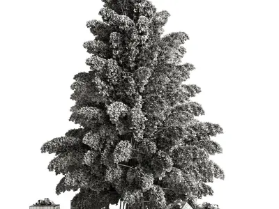 Christmas Eve 3D model