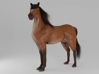 Horse 3D model