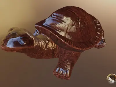 Turtle 01 3D model