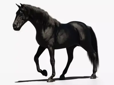 Black horse animated 3D model