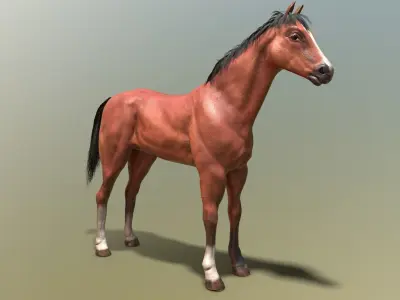 Game Horse Low-poly 3D model