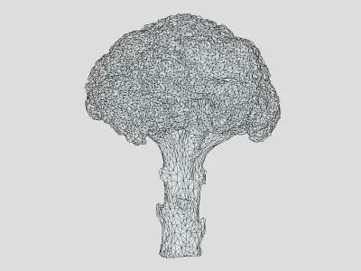 Broccoli Low Poly Low-poly 3D model