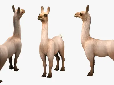 alpaca with rig  high-poly textured 3D model