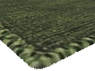 Rug Set 257 3D model