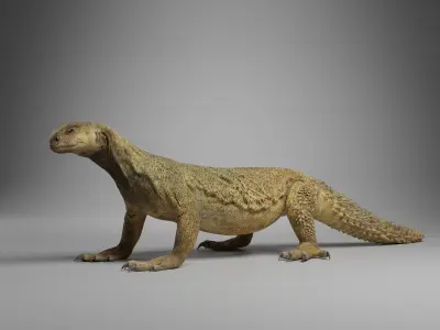 Dhub Lizard Animation - VFX Grace 3D model