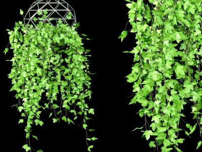 Hanging Plant Pot Set 3D model