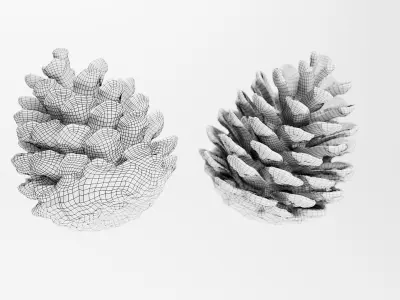 Pinecone - 3D Scan Low-poly 3D model