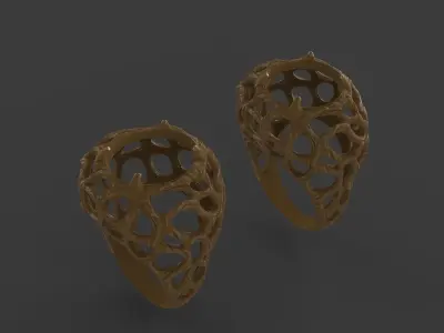 2 rings roots 3D print model
