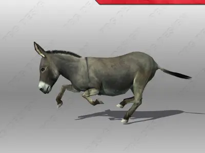 Donkey Animated Low-poly 3D model