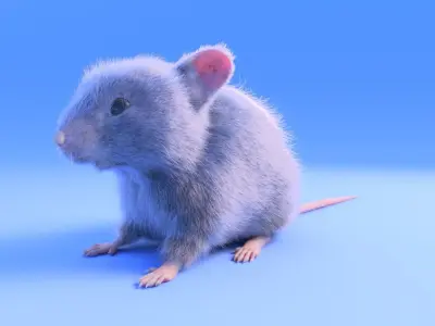 Mouse- realistic style - White fur - rigged Low-poly 3D model